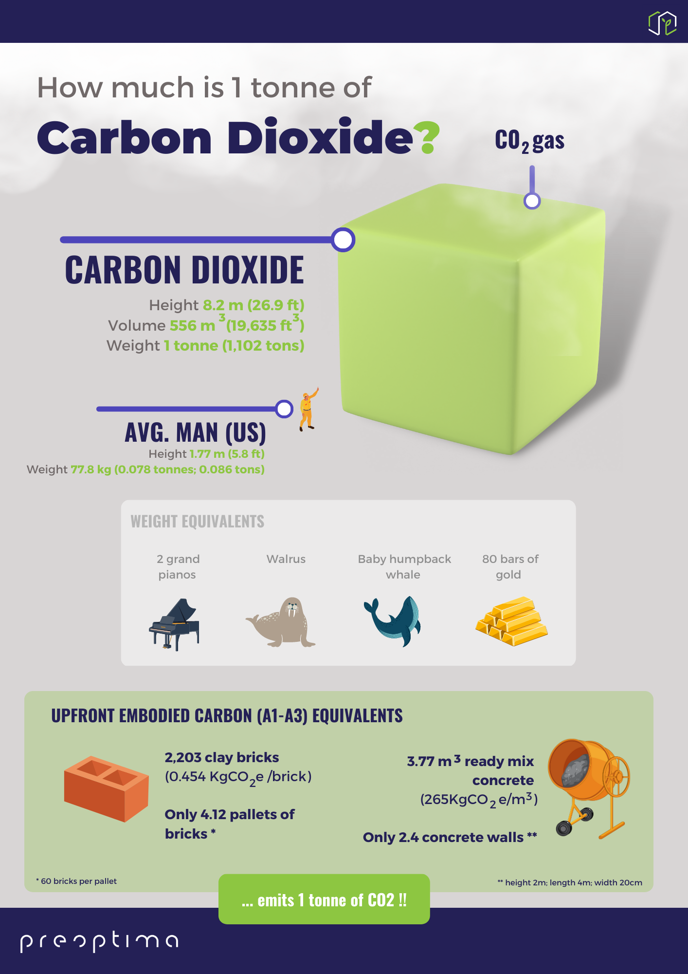 1 tonne of carbon dioxide graphic